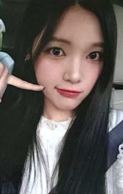 jp签售yuha