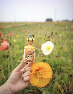 酱香小蜜蜂-资料图
