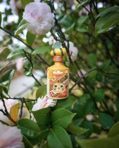 酱香小蜜蜂-资料图