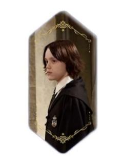 西弗勒斯·斯内普2徽章-魔力水晶系列第二弹