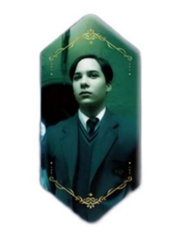 汤姆·里德尔徽章-魔力水晶系列第二弹