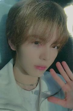 q音星光卡 洺楷 一星ver.B