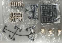 FAG 大比例 轰雷-资料图