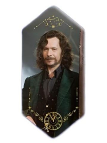 小天狼星(稀有款)徽章-魔力水晶系列第二弹