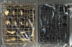 大比例 珍妮 (Stella Innocent Ver.)-资料图