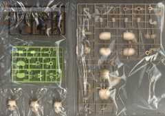 大比例 珍妮 (Stella Innocent Ver.)-资料图