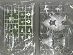 大比例 珍妮 (Stella Innocent Ver.)-资料图