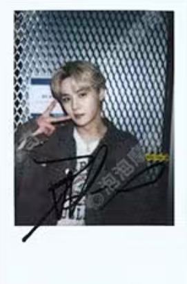 泡泡摩奇预售 挪 ver.C