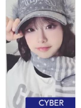 ald预售 cyber ver.B