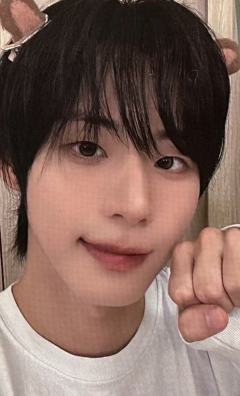 naturally music2.0 2 线上卡皮巴拉小熊ver.