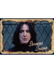 西弗勒斯·斯内普徽章-魔法之旅系列第三弹