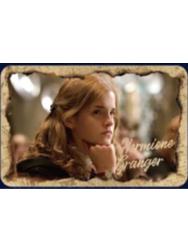 赫敏·格兰杰徽章-魔法之旅系列第三弹