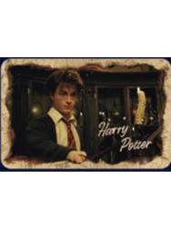 哈利·波特徽章-魔法之旅系列第三弹