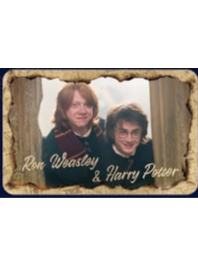 罗恩&哈利(大隐藏)徽章-魔法之旅系列第三弹