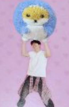 26台历娃版船特4