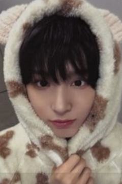 ms线下10.0 4 线上小熊ver.