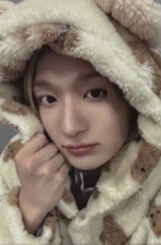 ms线下10.0 3 线上小熊ver.