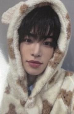 ms线下10.0 5 线上小熊ver.