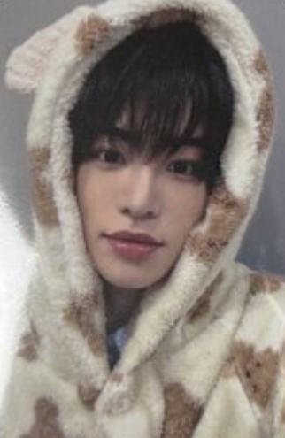 ms线下10.0 5 线上小熊ver.