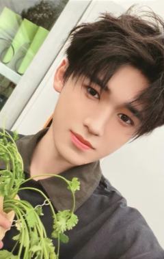 26台历单人款小卡3 ver.D