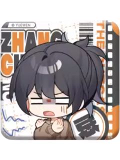 张楚岚no徽章-YES OR NO系列