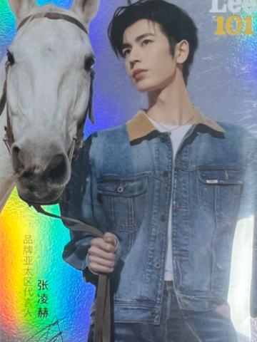 Lee代言卡3.0隐藏卡