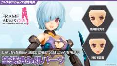 FAG P3 魔鹫 比基尼装甲Ver.-资料图