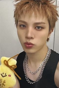 26台历幸运卡 桃