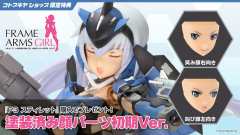 FAG P3 短剑-资料图