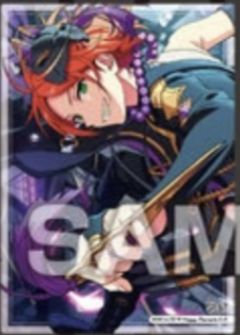 葵日向SP食玩透卡-口香糖第4弹