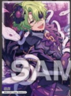 巴日和SP食玩透卡-口香糖第4弹