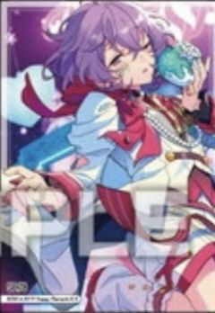 花群冬芽SP食玩透卡-口香糖第4弹