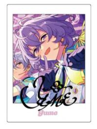 花群冬芽拍立得-ES 10th Anniversary