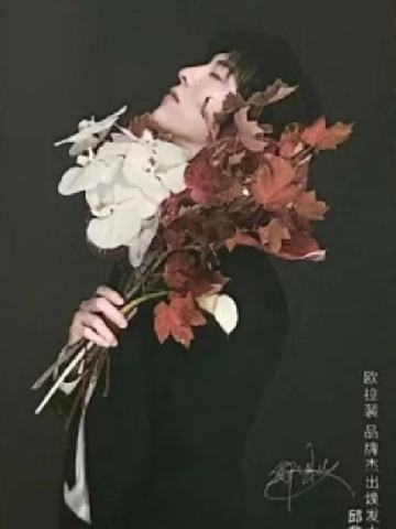 欧拉裴代言卡 ver.D