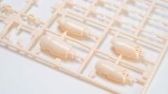 PLAMATEA 巴尔的摩-资料图