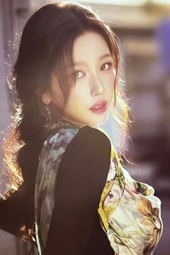 经典版卡包官拍卡 ver.9