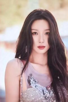 经典版卡包官拍卡 ver.3