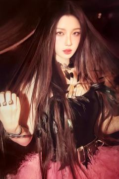 经典版卡包官拍卡 ver.10