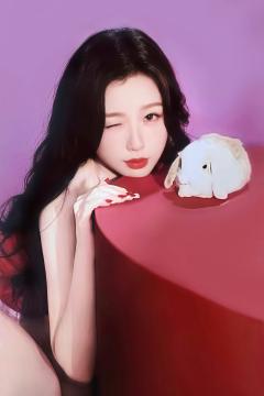 经典版卡包官拍卡 ver.6