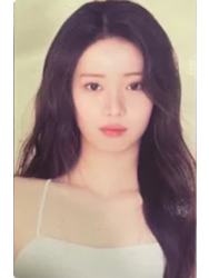 sdp日本随机卡 茶ver.A