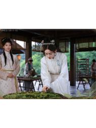 SR江南茶事卡-16