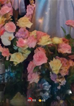 2SR园中共茗卡-8-资料图