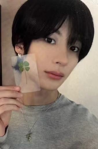 km台北幸运卡 安 四叶草ver.