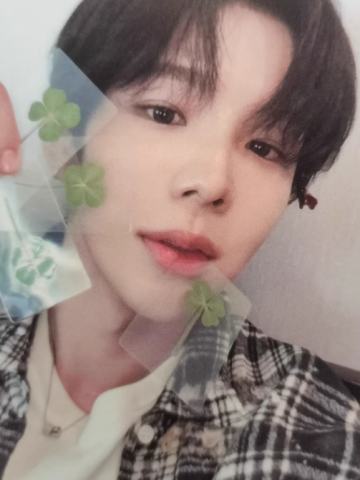 km台北幸运卡 酱 四叶草ver.