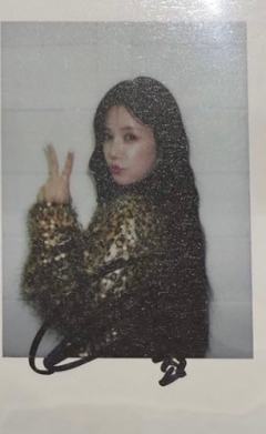 sw快闪幸运卡 珑 ver.B