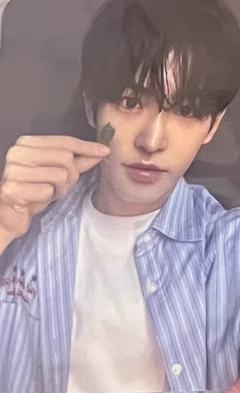 wm签售1.0 5 线上四叶草ver.