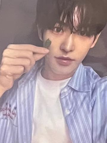 wm签售1.0 5 线上四叶草ver.