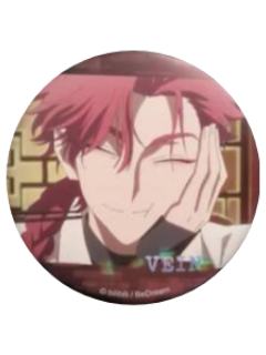 vein2徽章-FLASH BACK系列场面写