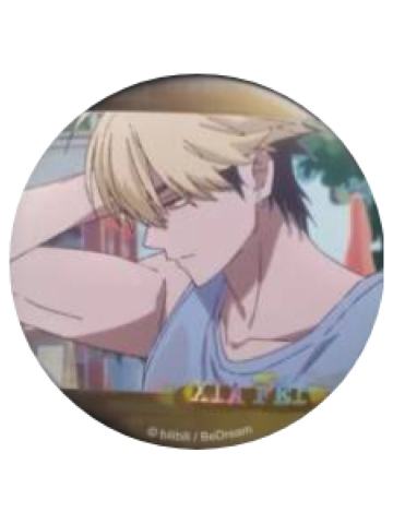 夏斐1徽章-FLASH BACK系列场面写