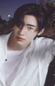 初回限定A盘专卡4 ver.A